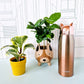 Thermos flask with fox ears